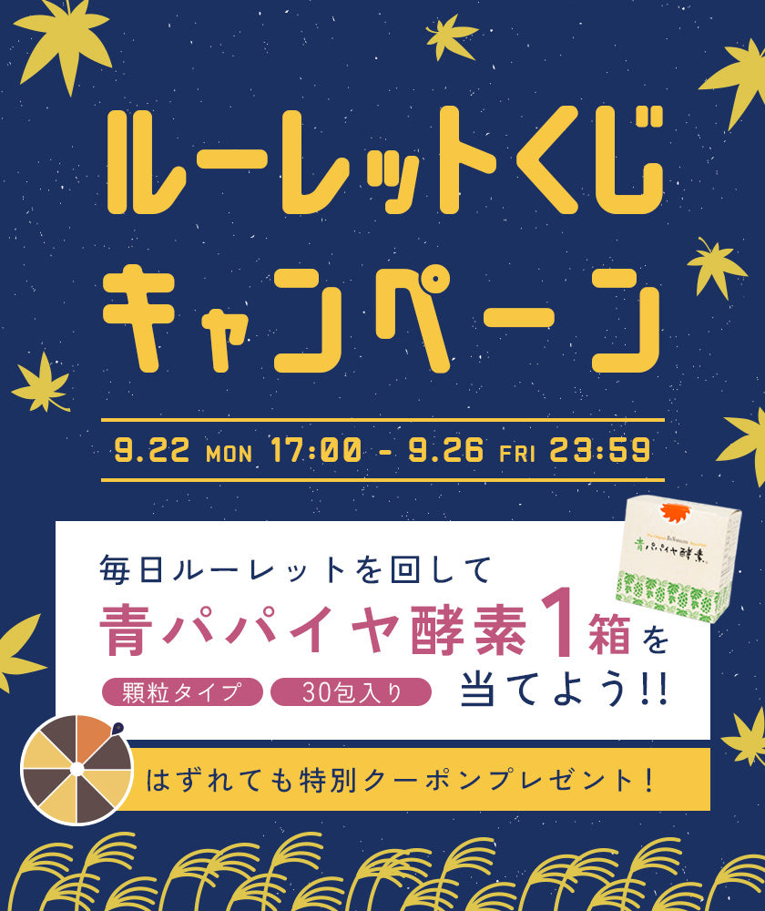 SIMESABA☆様5年発酵❤️100粒 SIMESABA☆様5年発酵❤️100粒