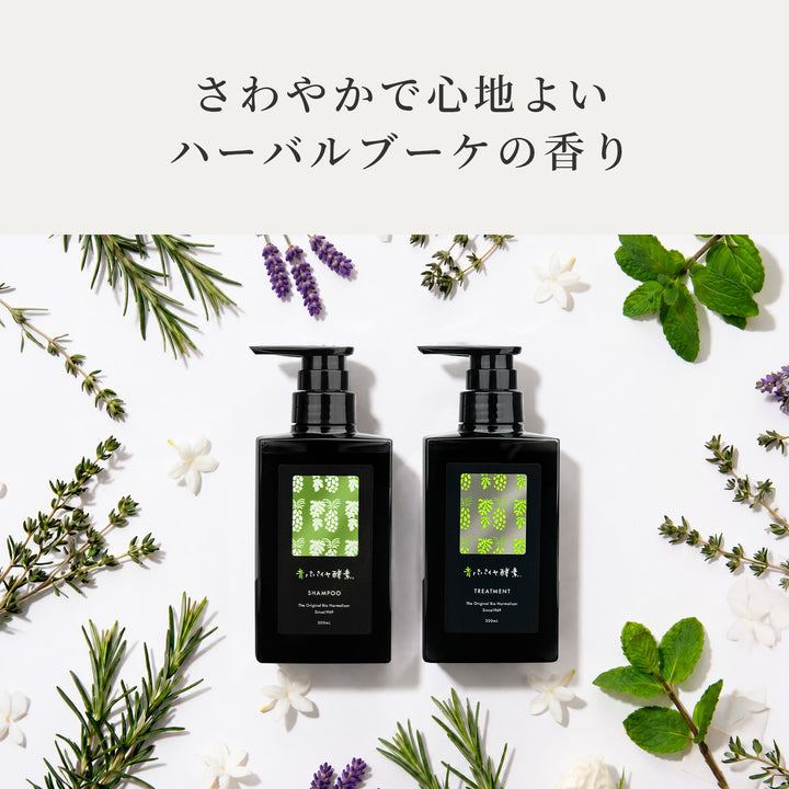 【予約】青パパイヤ酵素シャンプー トリートメント【9/14より順次発送予定】