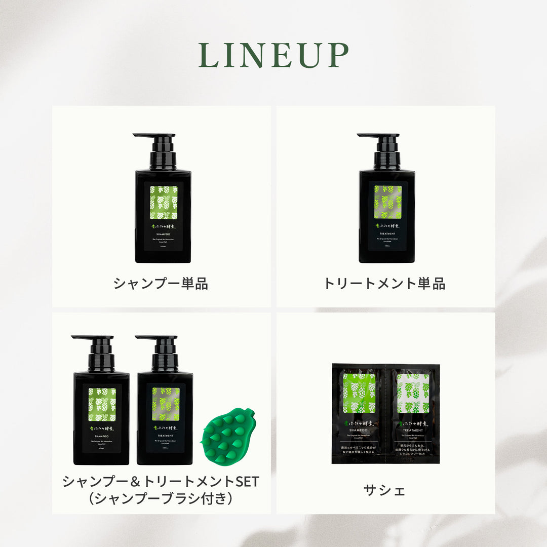 青パパイヤ酵素シャンプー トリートメント