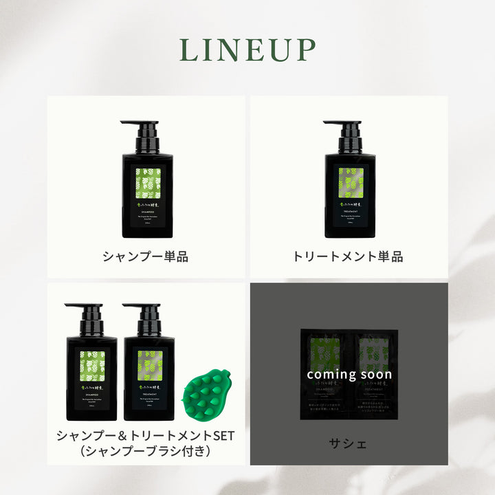 【予約】青パパイヤ酵素シャンプー トリートメント【9/14より順次発送予定】